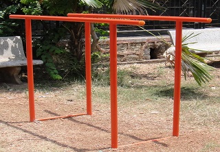 Parallel Bar